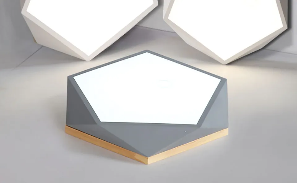 Services Project Image 2